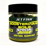 Jet Fish Boosterované boilie Special Amur Luční tráva 250ml 20mm