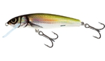 Salmo Minnow Floating Holo Bleak 7cm