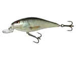 Salmo Executor Shallow Runner 9cm Real Dace