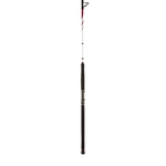 PENN prut Squadron II Shore CF 3m 500g