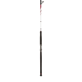 PENN prut Squadron II Shore CF 3m 500g