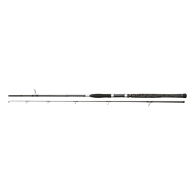 PENN prut Legion Cat Silver Spin 2,4m 160g