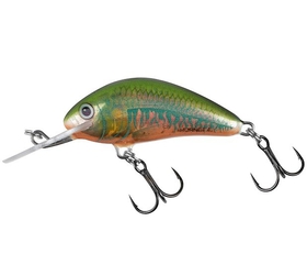 Salmo Hornet Floating 5cm Holographic Oikawa