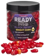 Starbaits Kukuřice Bright Ready Seeds Pro Blackberry 250ml