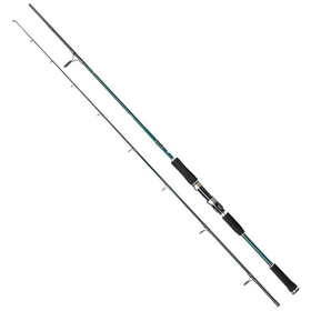 Abu Garcia Prut Beast X Spin 2,59m 40-140g