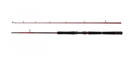 Penn Prut Squadron III 2,10 m 30-50 lb 2 díly
