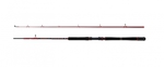 Penn Prut Squadron III 2,10 m 20-30 lb 2 díly