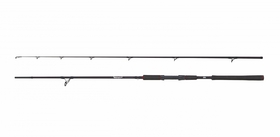 Abu Garcia prut Beast X Spin 2,54 m 30-110 g 2 díly