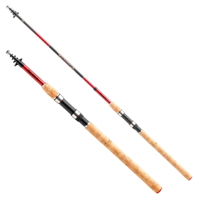 Daiwa Sweepfire 3 m 40-90 g