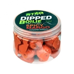 Stég Product Boilies v dipu 20 mm 100 g Spicy Mango