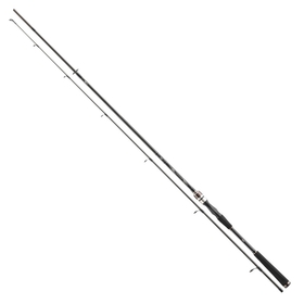 Daiwa Prut Exceler Spin 2,4 m 20-60 g 2 díly