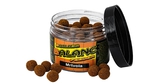Carp servis Václavík Boilies Balanc Feeder 80 g 12 mm Mrtvola