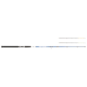 Mitchell prut Riptide R Dorade 2,42m 300g