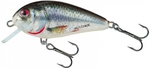 Salmo Wobler Butcher 5cm Holographic Real Dace