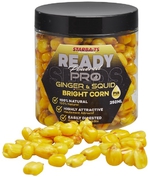 Starbaits Kukuřice Bright Ready Seeds Pro Ginger Squid 250ml